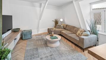 Fernseher, Arbeitsbereiche