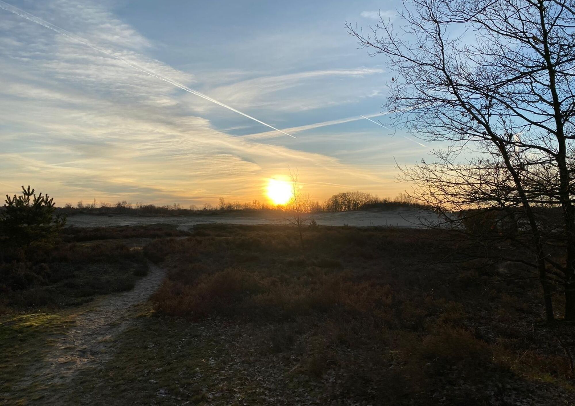 A peaceful sunset over a natural landscape, with soft colors painting the sky as the day comes to a close.