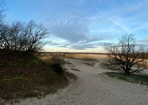 Platja
