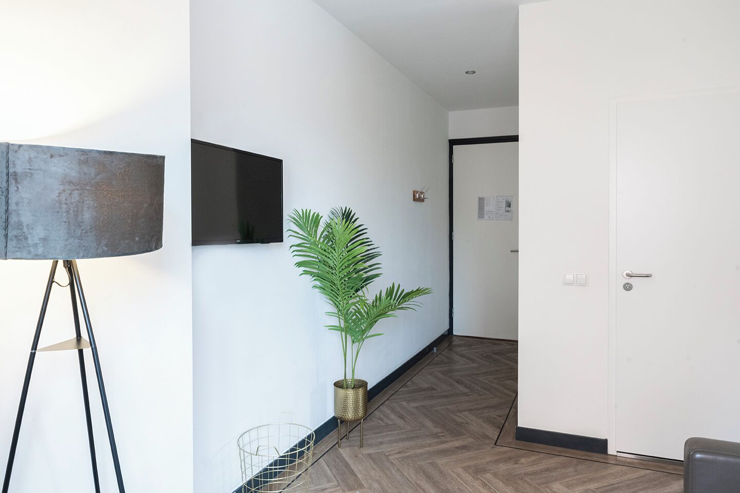 A hallway with a potted plant, a floor lamp, and a flat-screen TV mounted on the wall.