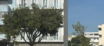 Pedra de Sal Hostel & Suites