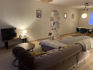 Fernseher, Stereoanlage