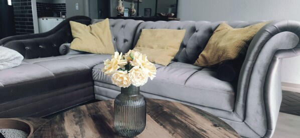 TV, stereo - Gîte Cosy au Coeur du Parc Naturel Régional Livradois-forez - Dogfriendly (Courpière)