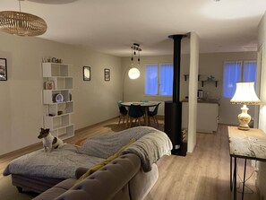 TV, stereo - Gîte Cosy au Coeur du Parc Naturel Régional Livradois-forez - Dogfriendly (Courpière)