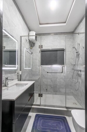 Shower, hair dryer, bidet, towels