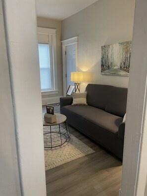 Smart TV, fireplace - 2nd. Floor Cozy Buffalo Medical Corridor Apartment. Parking (Buffalo)