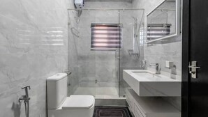 A modern bathroom with a glass shower enclosure, a toilet, a sink, and a mirror.