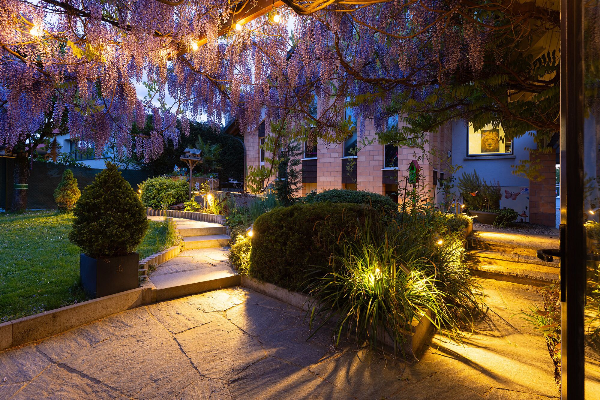 Terrain de l’hébergement 