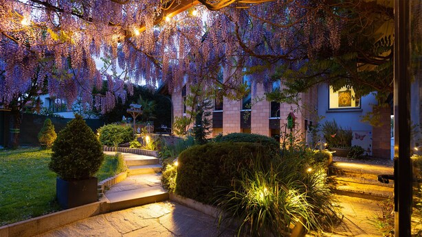Un giardino ben illuminato con un vialetto in pietra, un piccolo albero e un edificio con una finestra.