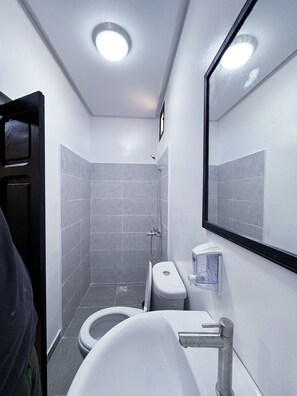 Regadera, toallas, jabón, papel de baño