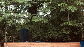 Et rektangulært swimmingpool med træterrasse, omgivet af frodig grøn vegetation.