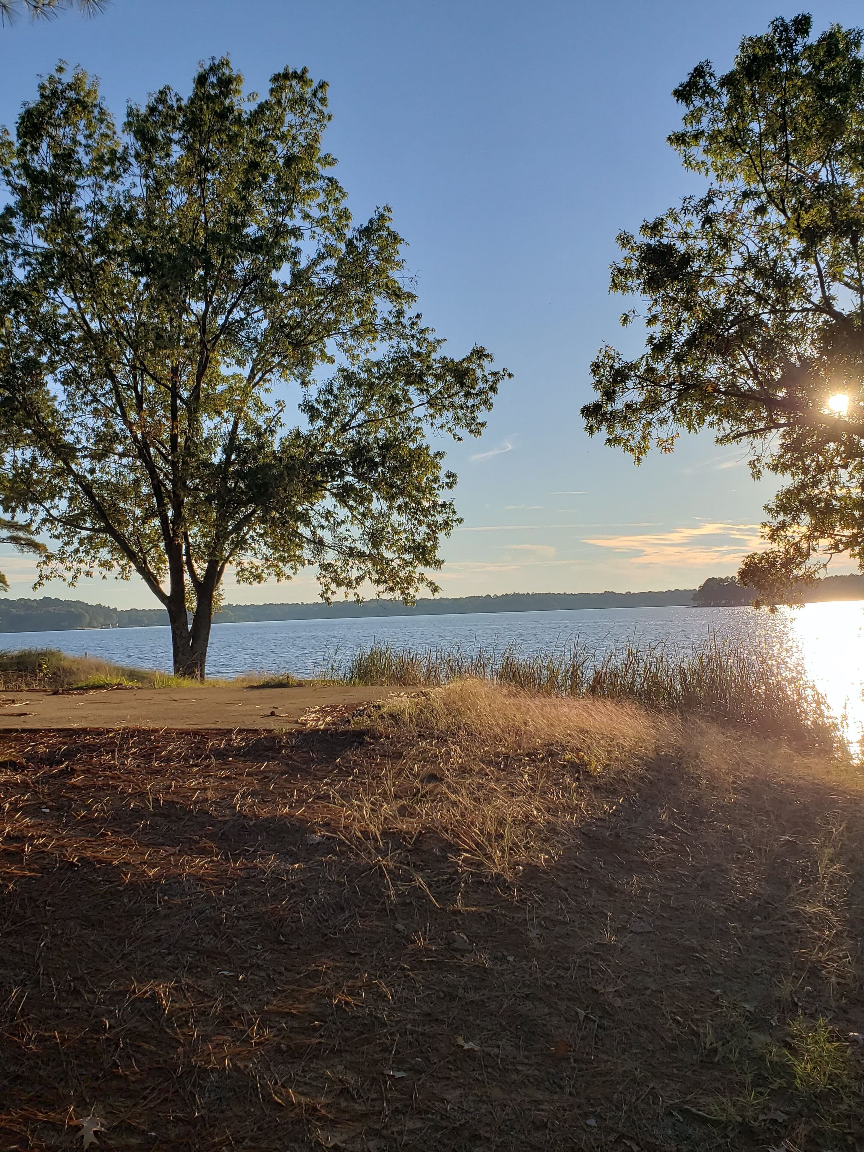 A natural landscape with a tree in the foreground, a body of water in the background, and a clear sky.