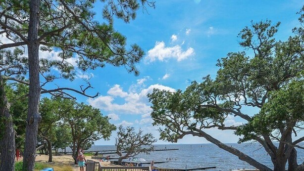 A wooden boardwalk leading to a beach with trees and a clear sky. - Colington Harbour OBX Cottage (Kill Devil Hills)