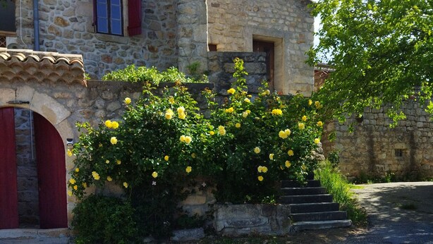 A stone building with a red door and a staircase leading up to a window. - mas Cévenol en Ardèche Animaux Acceptés (rosieres)