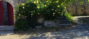 mas Cévenol en Ardèche Animaux Acceptés