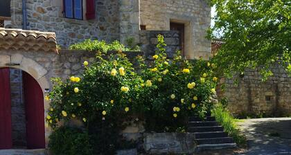 mas cévenol en ArdÚcheanimaux acceptés