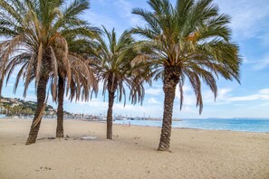 Une plage bordée de palmiers, sous un ciel dégagé.