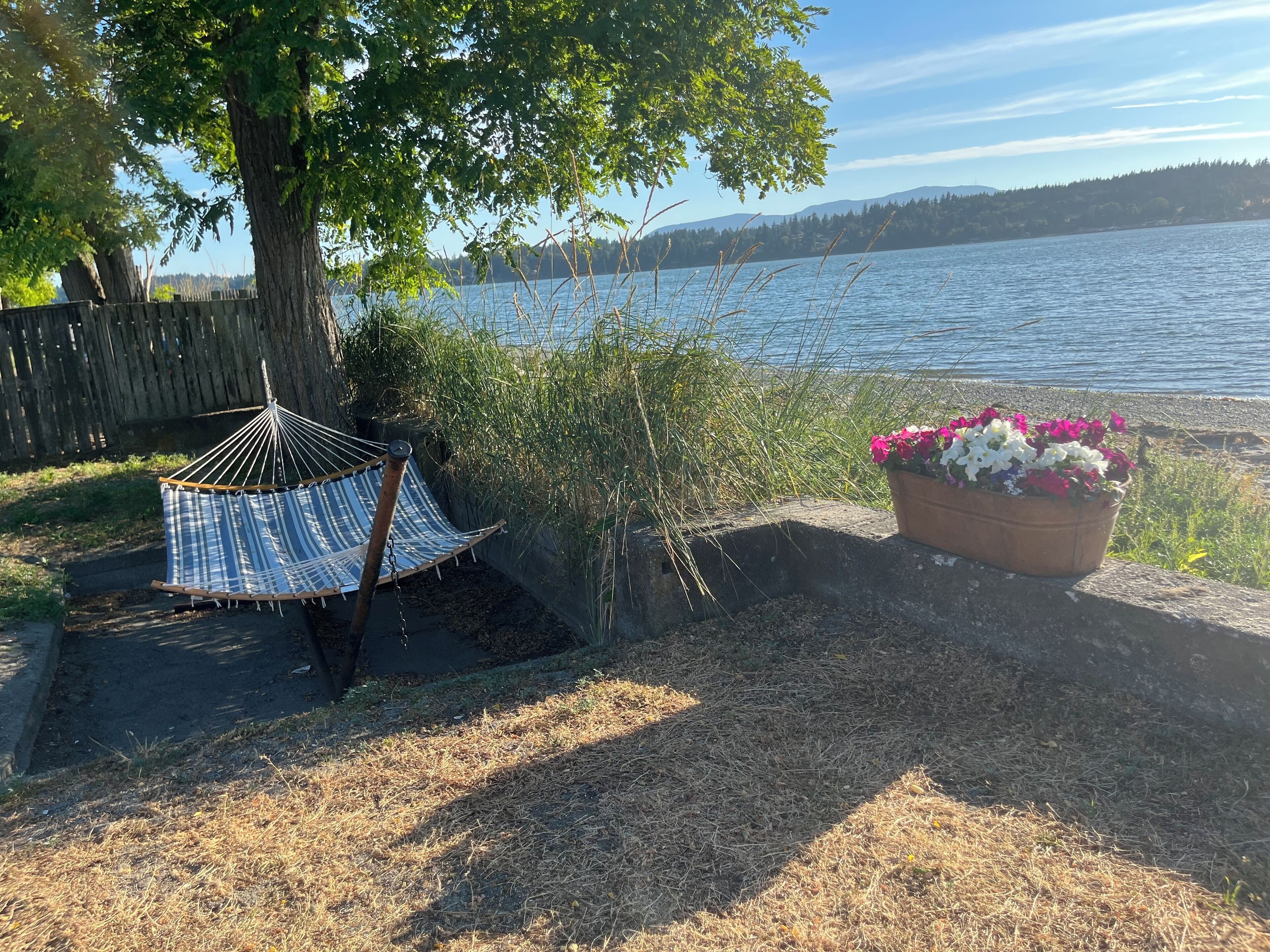 A hammock under a tree by a lake, a flower planter, and a wooden fence.