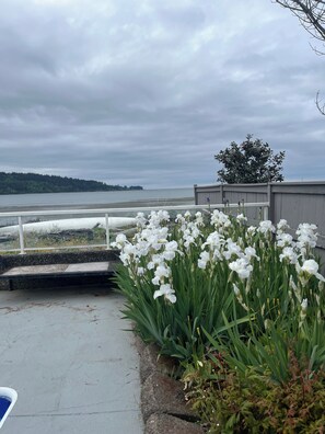 Uitzicht op het water, met een rij witte bloemen op de voorgrond en een houten constructie op de achtergrond.