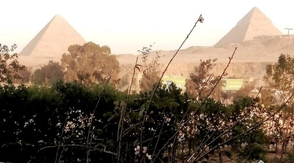 منوع