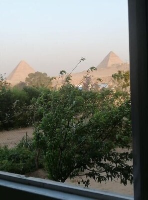 Näkymä pyramideille rakennuksen sisältä, etualalla vihreää kasvillisuutta.