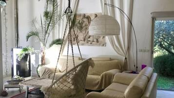 Télévision, cheminée, lecteur de DVD, livres