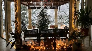 A cozy indoor setting with a Christmas tree, a bench, and a star decoration.