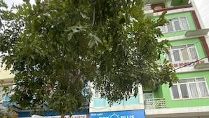 واجهة المنشأة