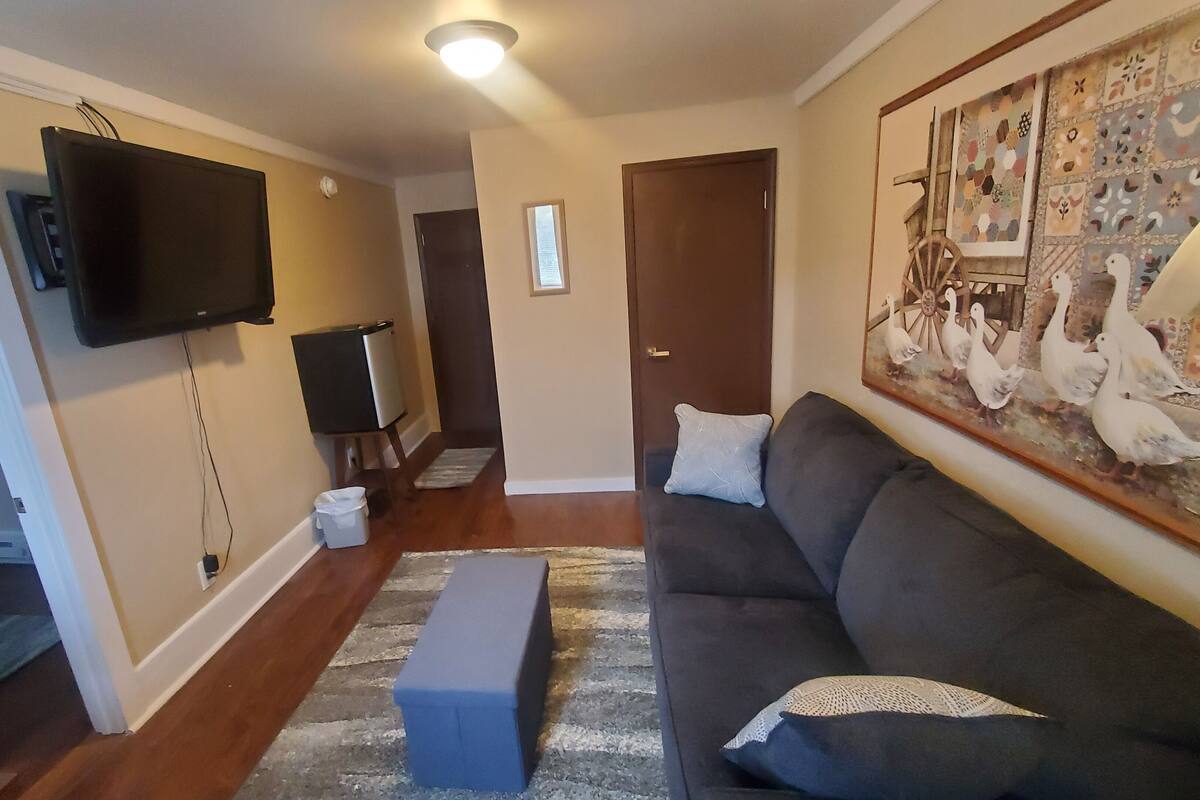 Una sala de estar con un sofá gris, un banco, un televisor de pantalla plana montado en la pared y un cuadro de aves blancas en la pared.