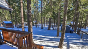 A wooden deck with a bench, surrounded by tall pine trees and a snow-covered ground.