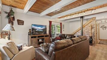 Smart TV, fireplace, books