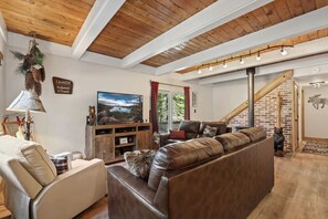 TV connectée, cheminée, livres