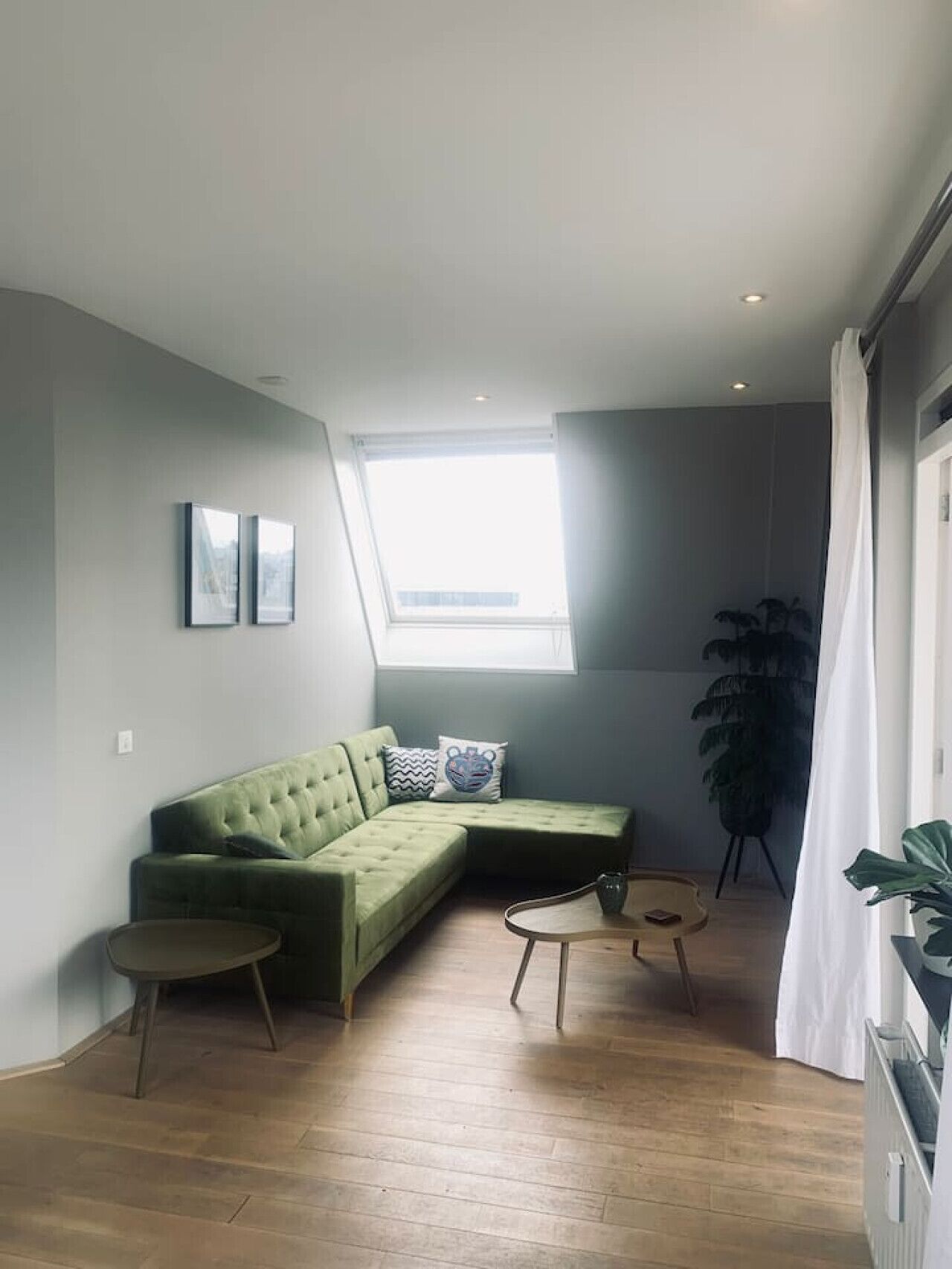 Fernseher