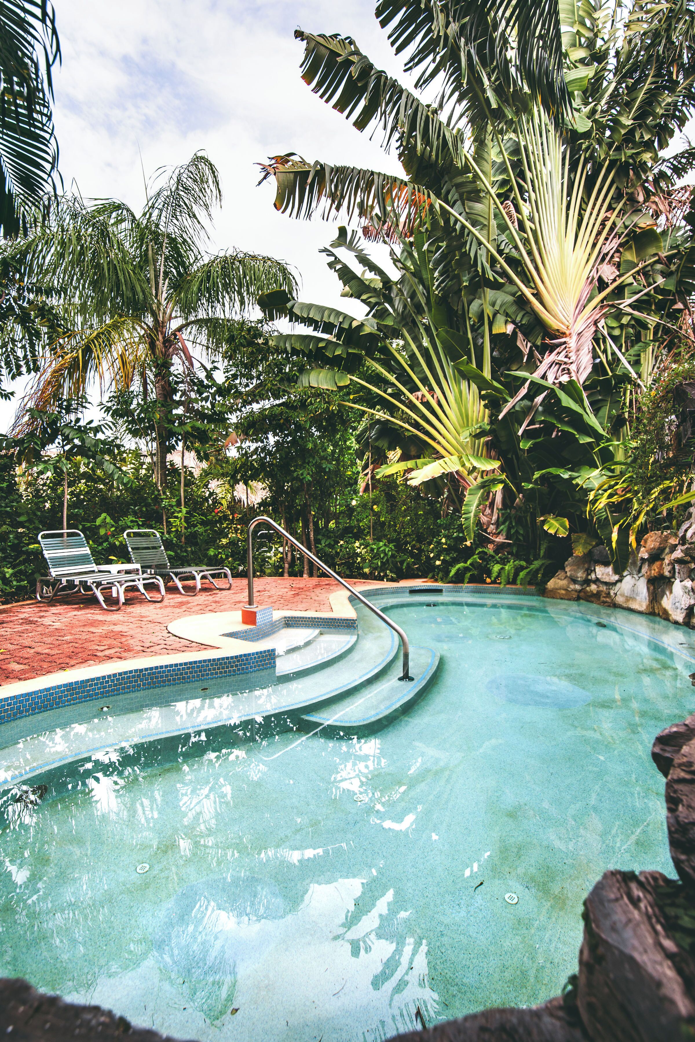 A swimming pool with clear water, surrounded by lush tropical vegetation and two lounge chairs.