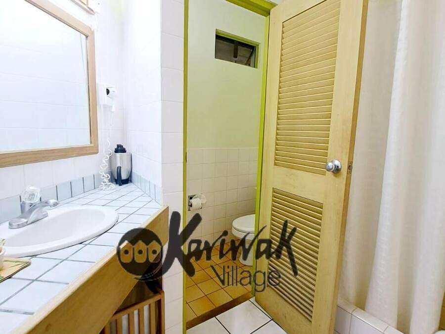 A bathroom with two sinks, a mirror, and a shower area.