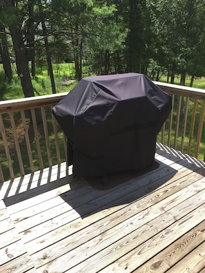 Property grounds - ENTIRE HOUSE IN TOWN ~ DOG FRIENDLY 
             “CAMP KOSKENKORVA” (Old Forge)