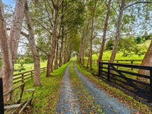 Property grounds - Country Idyll - Sandspit Holiday Cottage (Sandspit)