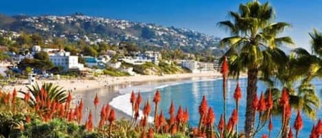 Chaises longues, serviettes de plage