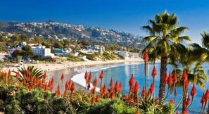 Une scène de plage côtière offrant une vue dégagée sur la plage, les palmiers et les bâtiments qui se dressent à l’arrière-plan.