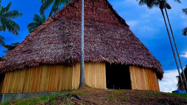 A thatched-roof hut with a wooden exterior, surrounded by palm trees, under a clear blue sky.