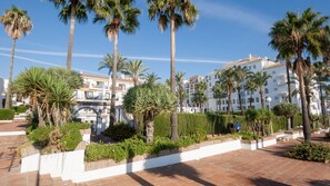 Stroll through the serene courtyard surrounded by lush greenery and beautifully maintained palm trees.