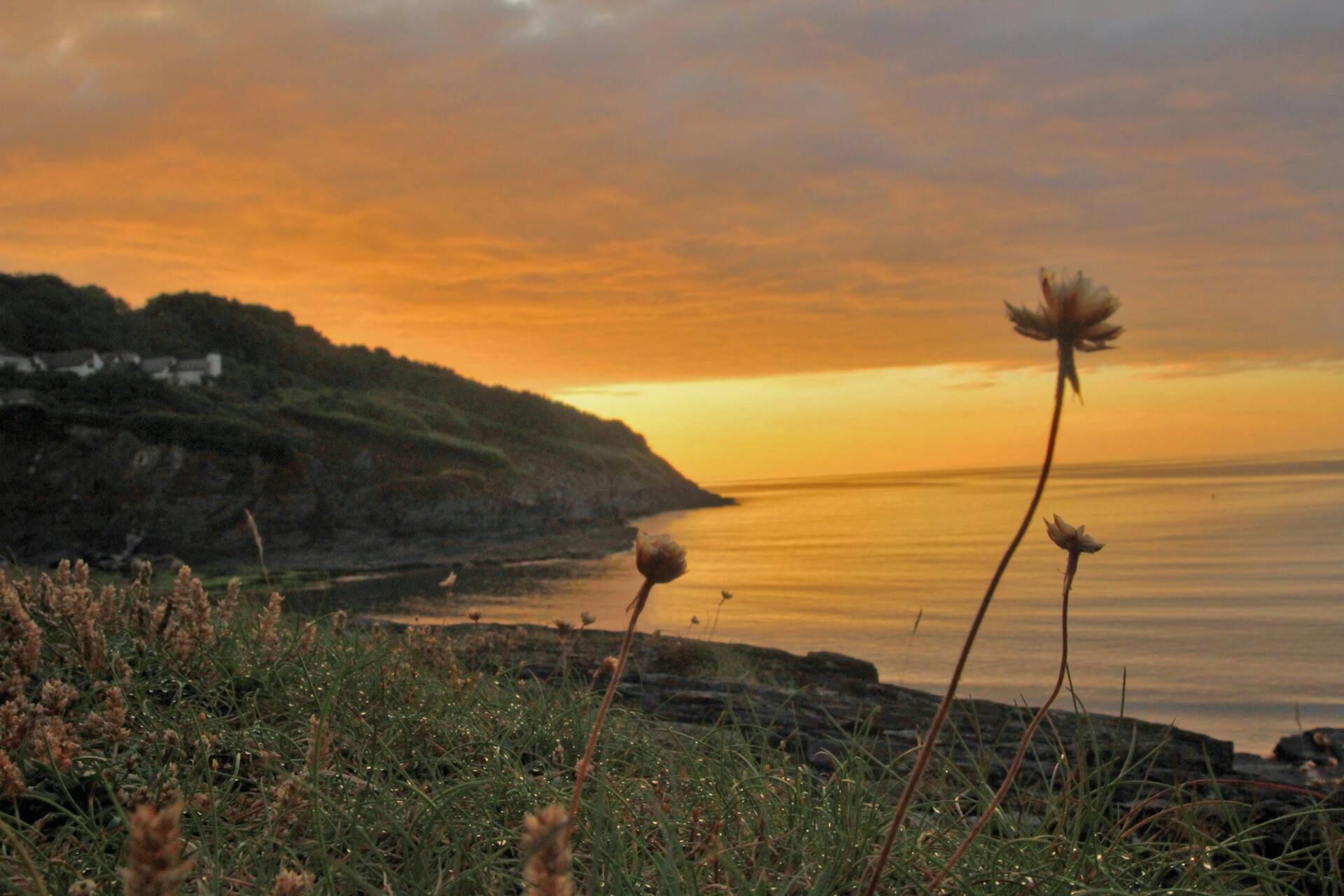 A coastal landscape with a sunset, rocky cliffs, and wildflowers.