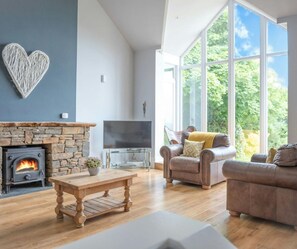 Televisión, chimenea y reproductor de DVD 