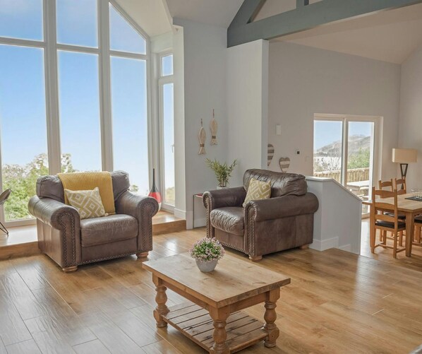 Televisión, chimenea y reproductor de DVD