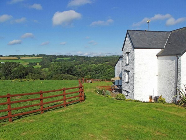 Property grounds - Penalltcych Farmhouse, Abercych (Abercych)
