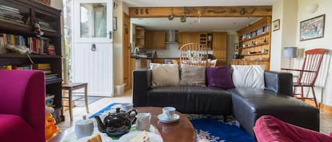 Fireplace, DVD player, books