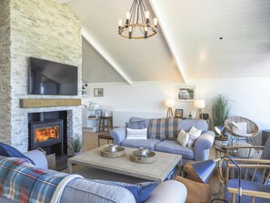 تلفزيون، مدفأة، مشغل دي في دي، كُتُب