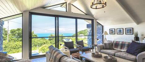 TV, fireplace, DVD player, books