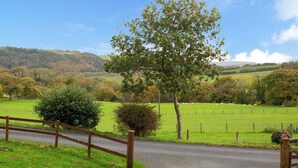 A rural road with a wooden fence, a tree, and a green field in the background.