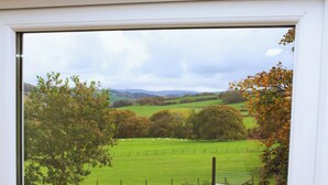A window with a view of a green field, trees, and a fence.